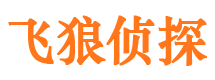 天河市出轨取证